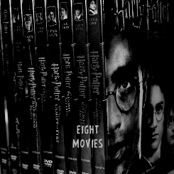  The Harry Potter Series