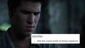  The Hunger Games | Tumblr Text Post
