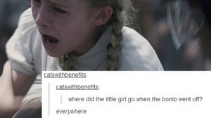 The Hunger Games | Tumblr Text Post