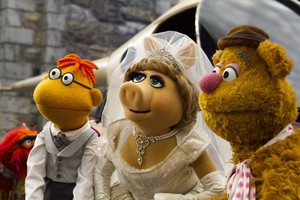 The muppets 