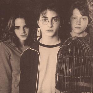  Harry Potter For te