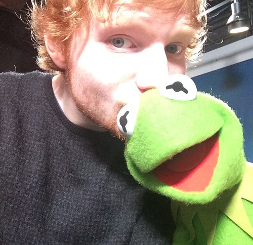                 Ed and Kermit the Frog