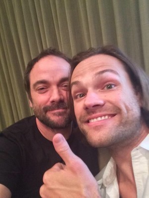  Mark Sheppard: The moose that stole my phone