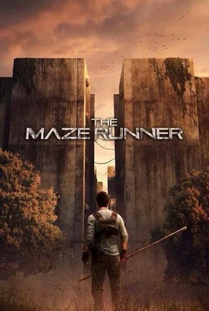  Maze runner