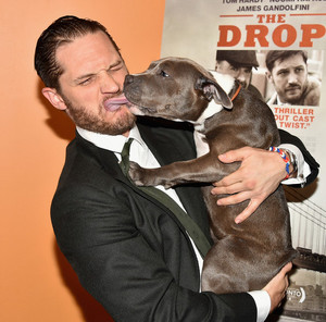  'The Drop' New York Premiere