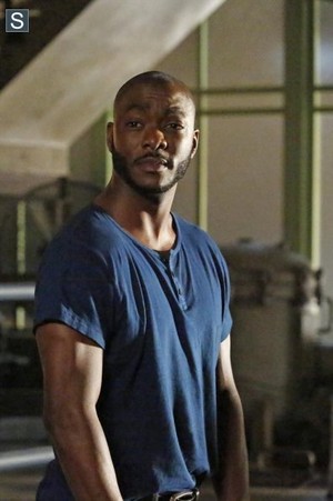  Agents of S.H.I.E.L.D. - Episode 2.03 - Making Marafiki and Influencing People - Promo Pics