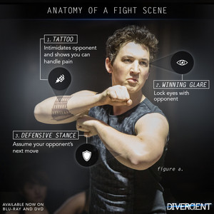 Anatomy of a fight scene (peter)