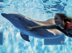  Bethany Hamilton swimming with Winter in dolfijn Tale 2