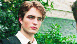  Cedric Diggory 💎