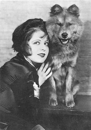  Clara Bow had several red chows to match her hair