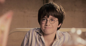  Daniel Radcliffe as Harry Potter