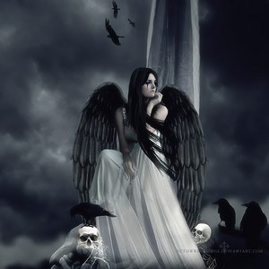  Dark Angel