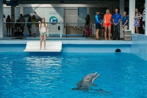  dolfijn Tale 2