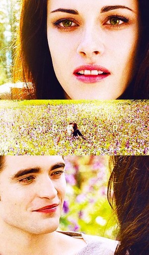  Edward and Bella,BD 2
