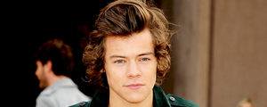 Harry ‘Hair’ Styles - 2014 edition