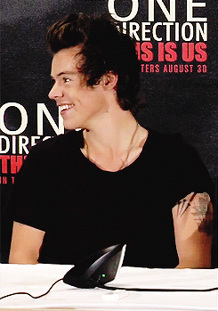  Harry "Perfect" Styles