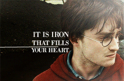  Harry Potter Gif(Daniel Radcliffe)