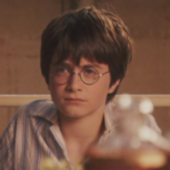  Harry Potter 💎