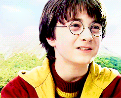  Harry Potter 💎