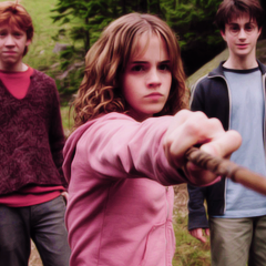  Harry, Ron and Hermione 💎