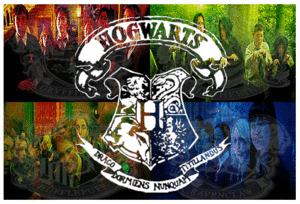  Hogwarts 💎