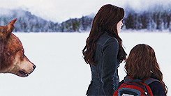  Jacob, Bella and Renesmee