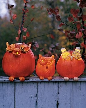 Pumpkin Owls