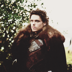  Robb Stark ikon-ikon