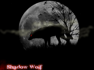  Shadow chó sói, sói 3