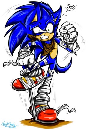  Sonic's gonna trip on his sports tape"
