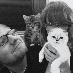  Taylor Swift, Ed Sheridan And बिल्ली
