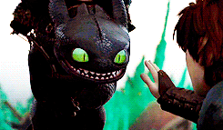  Toothless and Hiccup