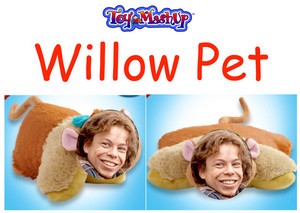Willow Pet