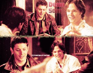  Winchesters celebrating natal