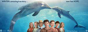  Winter and Hope,Dolphin Tale 2