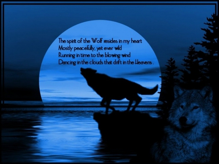 Wolf Spirit - The Wolves of Serendipity. Photo (37535768) - Fanpop