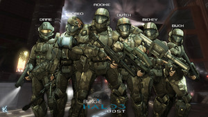  halo 3 odst brother's