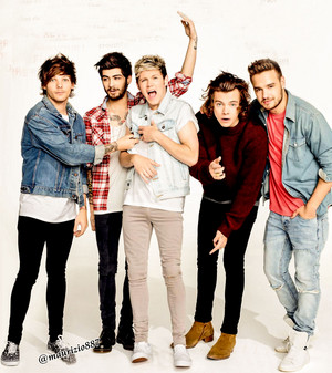  one direction,2014