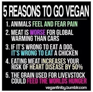  5 Reasons to go Vegan