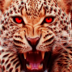  Angry Cheetah