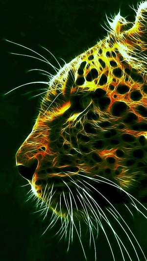  Cool Cheetah 10