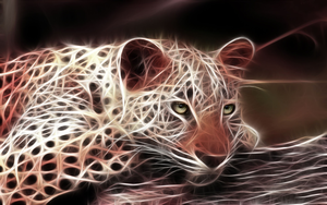  Cool Cheetah 3