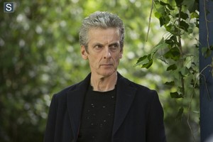 Doctor Who - Episode 8.10 - In The Forest of the Night - Promo Pics