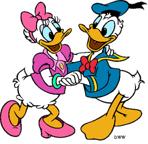  Donald and giống cúc, daisy