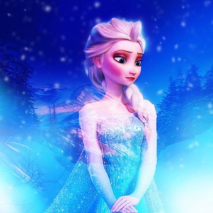  Elsa - FDS