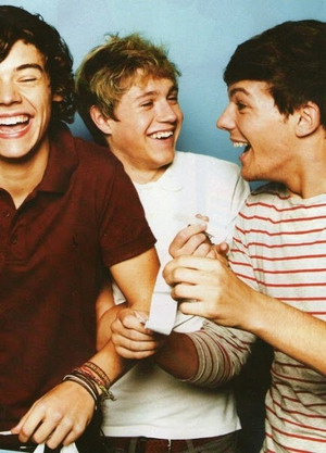  Harry,Niall,Louis ♥