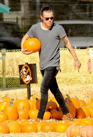  Picking pumpkins