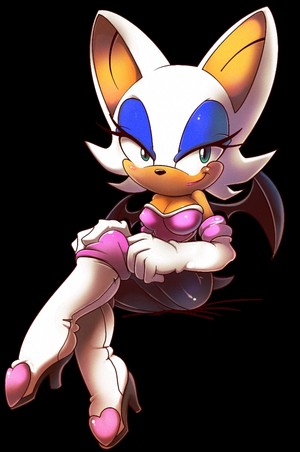 Rouge The Beauty
