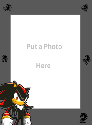  Shadow the Hedgehog Picture Frame Vertical