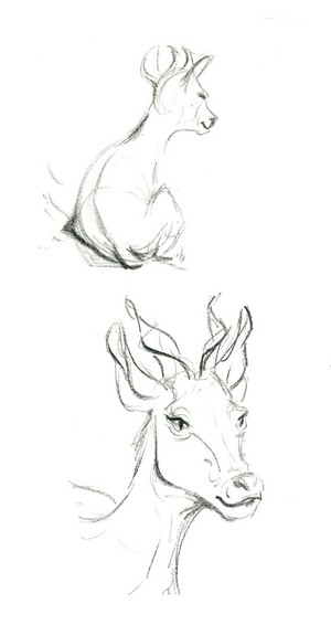  Sketches of mammals at the Los Angeles Zoo as research for Disney’s Zootopia
